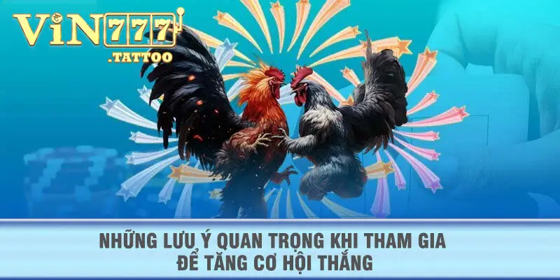 Những lưu ý quan trọng khi tham gia để tăng cơ hội thắng