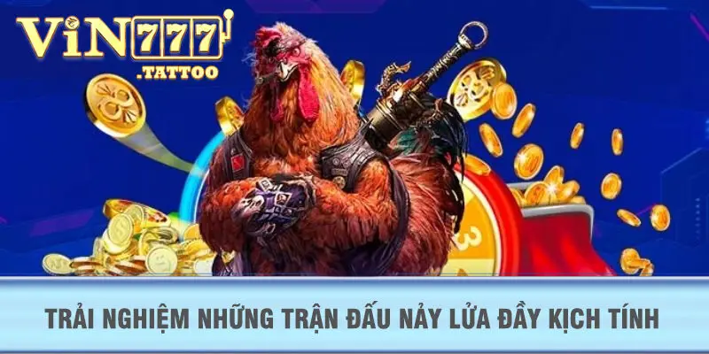 Trải nghiệm những trận đấu nảy lửa đầy kịch tính